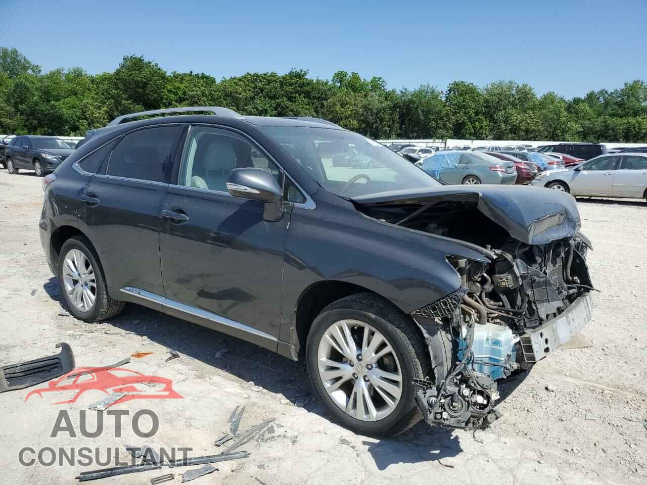 LEXUS RX450 2010 - JTJBC1BA5A2005659