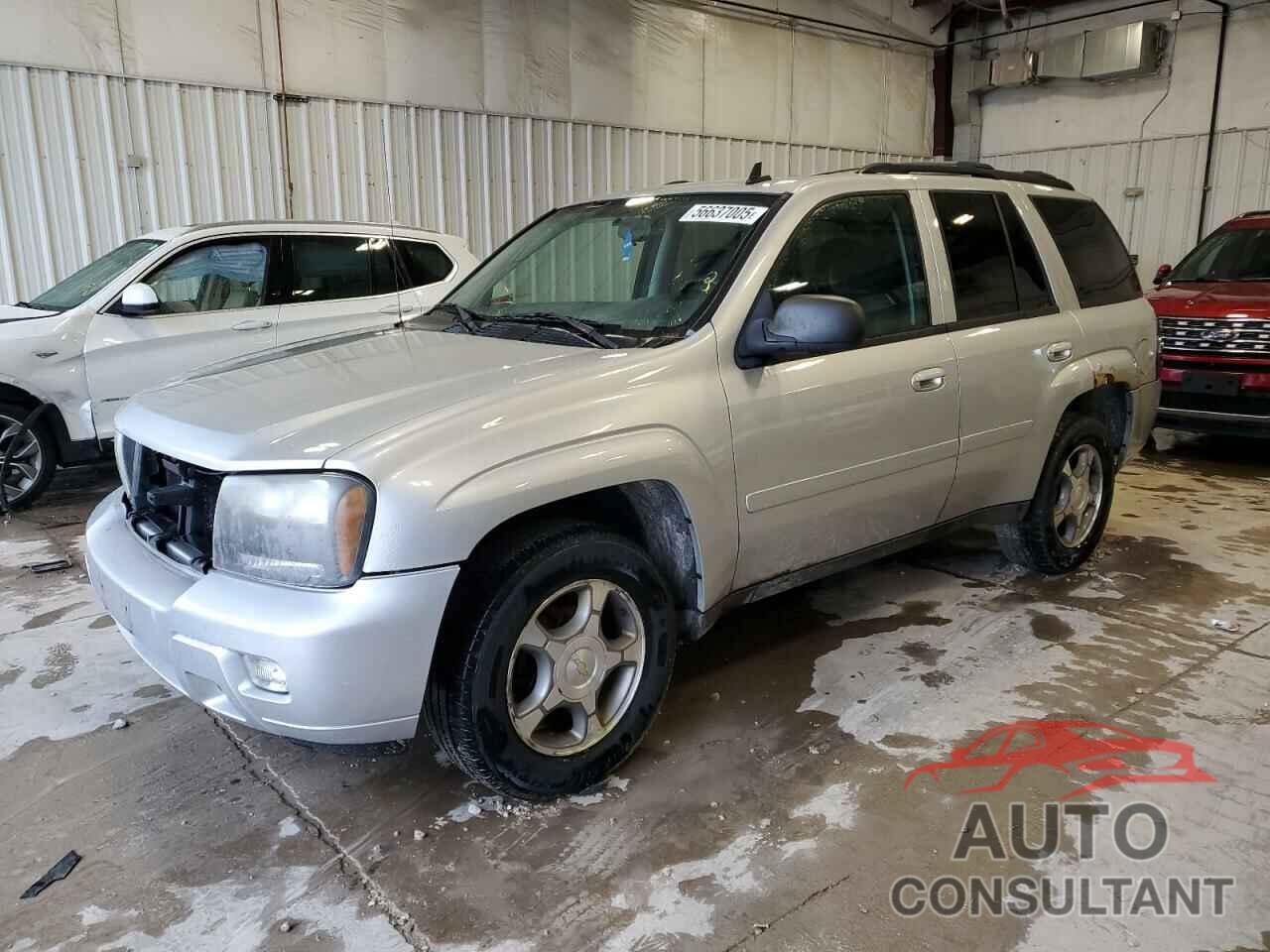 CHEVROLET TRAILBLZR 2009 - 1GNDT33S192130501