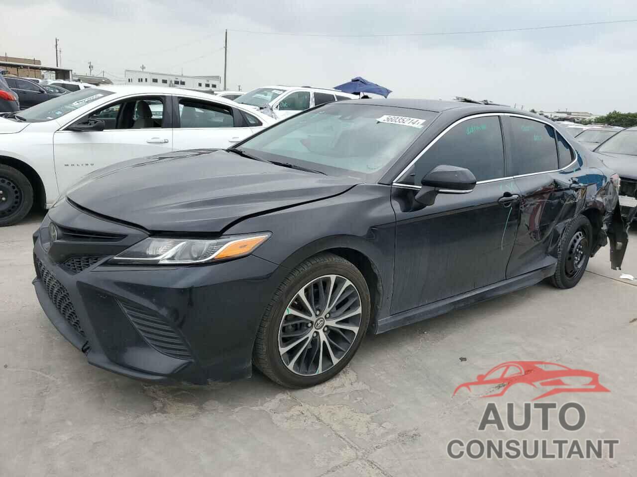 TOYOTA CAMRY 2019 - 4T1B11HK3KU834658