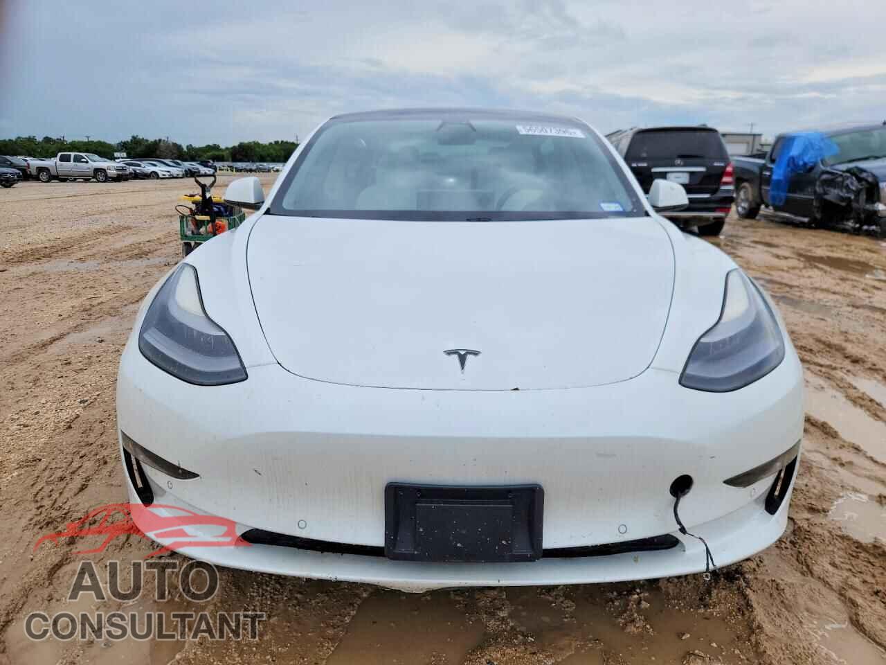 TESLA MODEL 3 2021 - 5YJ3E1ECXMF030816