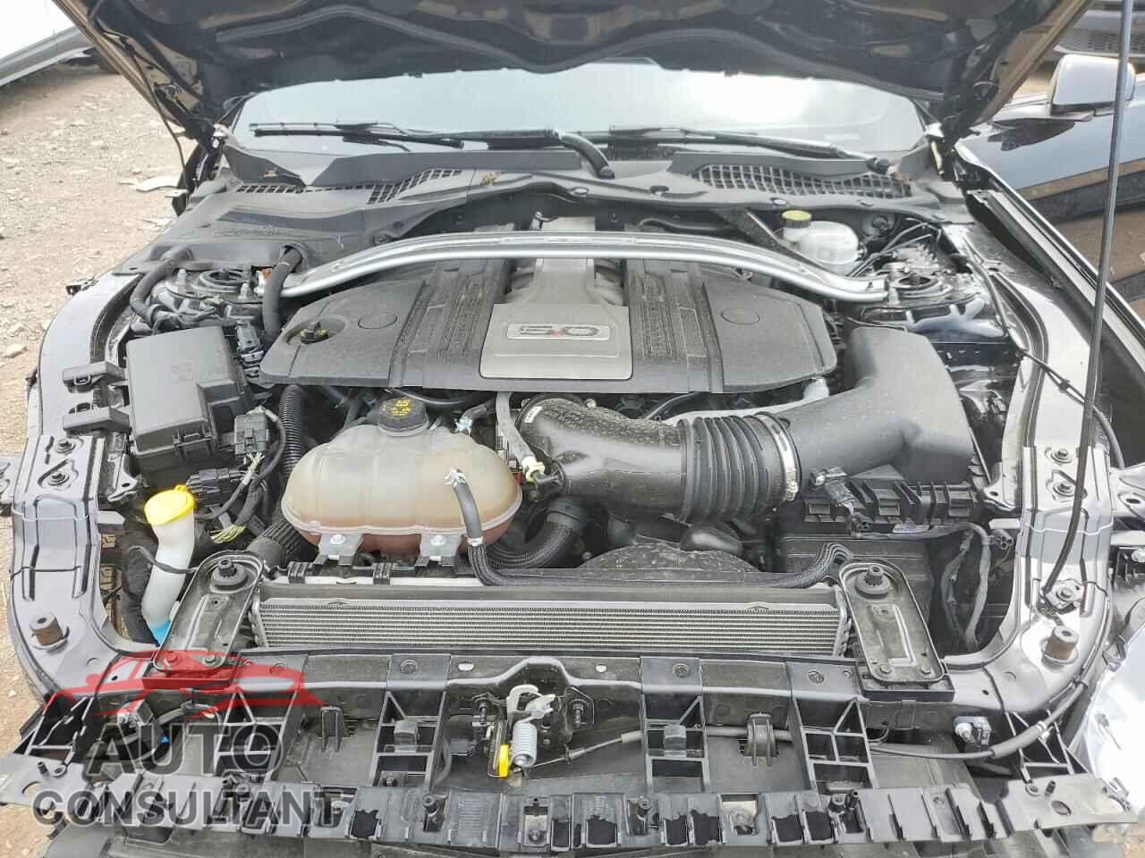 FORD MUSTANG 2019 - 1FA6P8CF7K5146573