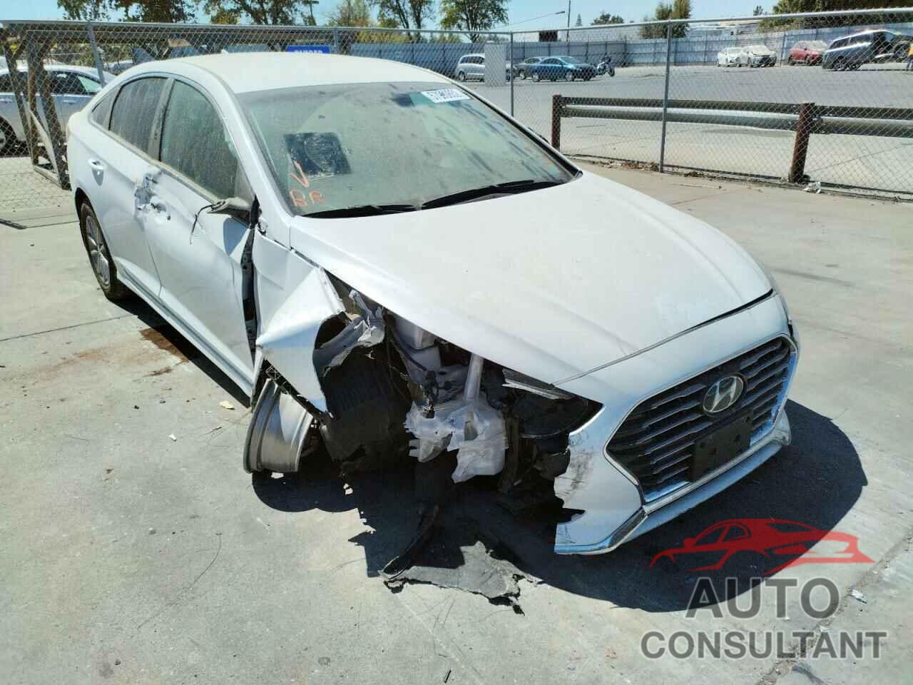HYUNDAI SONATA 2019 - 5NPE24AFXKH781500