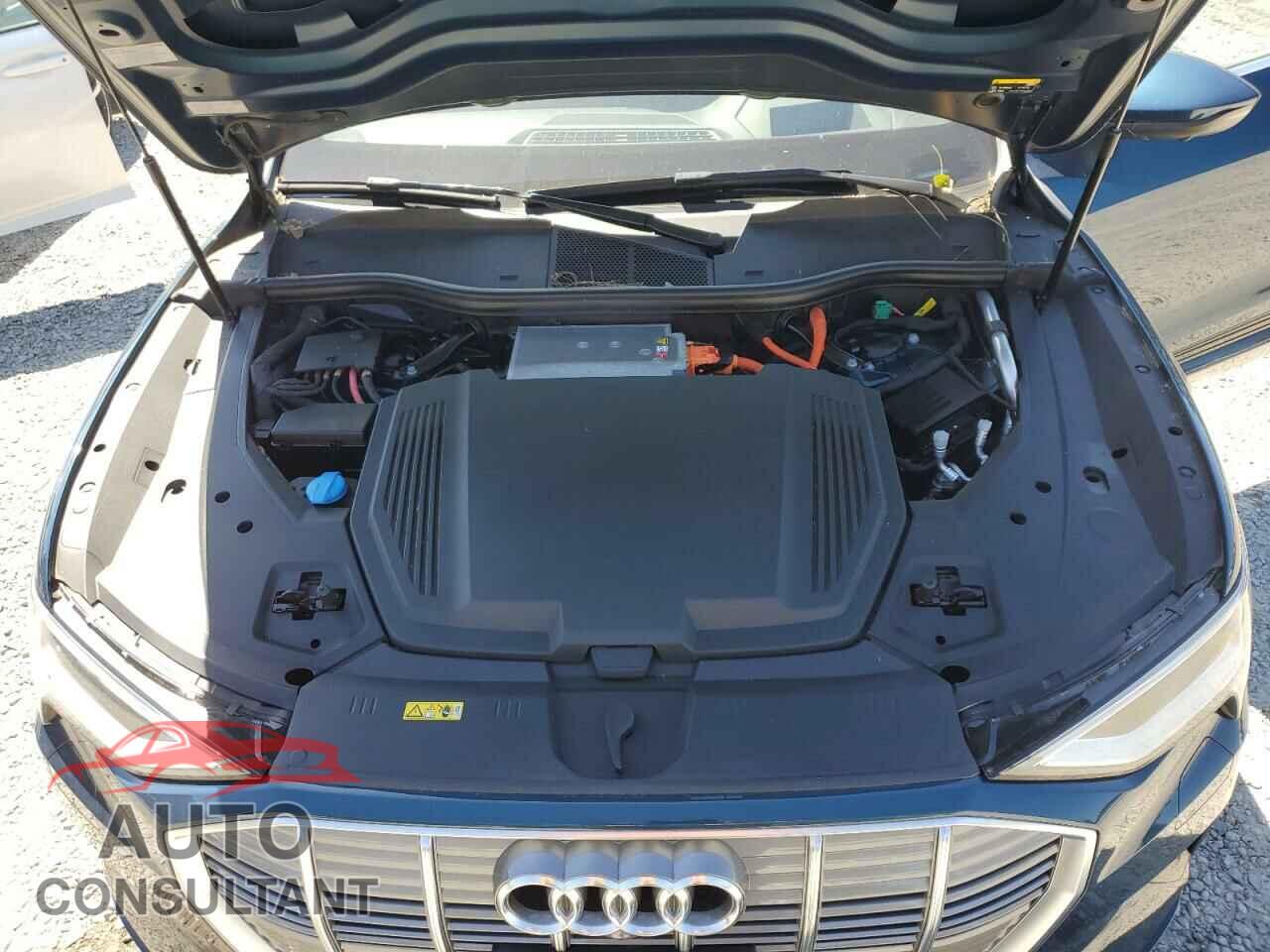 AUDI E-TRON 2019 - WA1VAAGE3KB021940