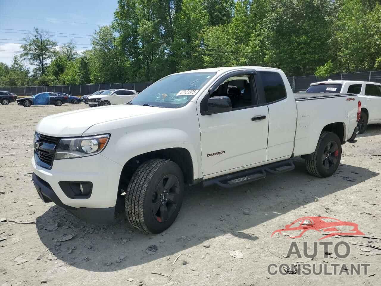 CHEVROLET COLORADO 2019 - 1GCHTCEN1K1303110
