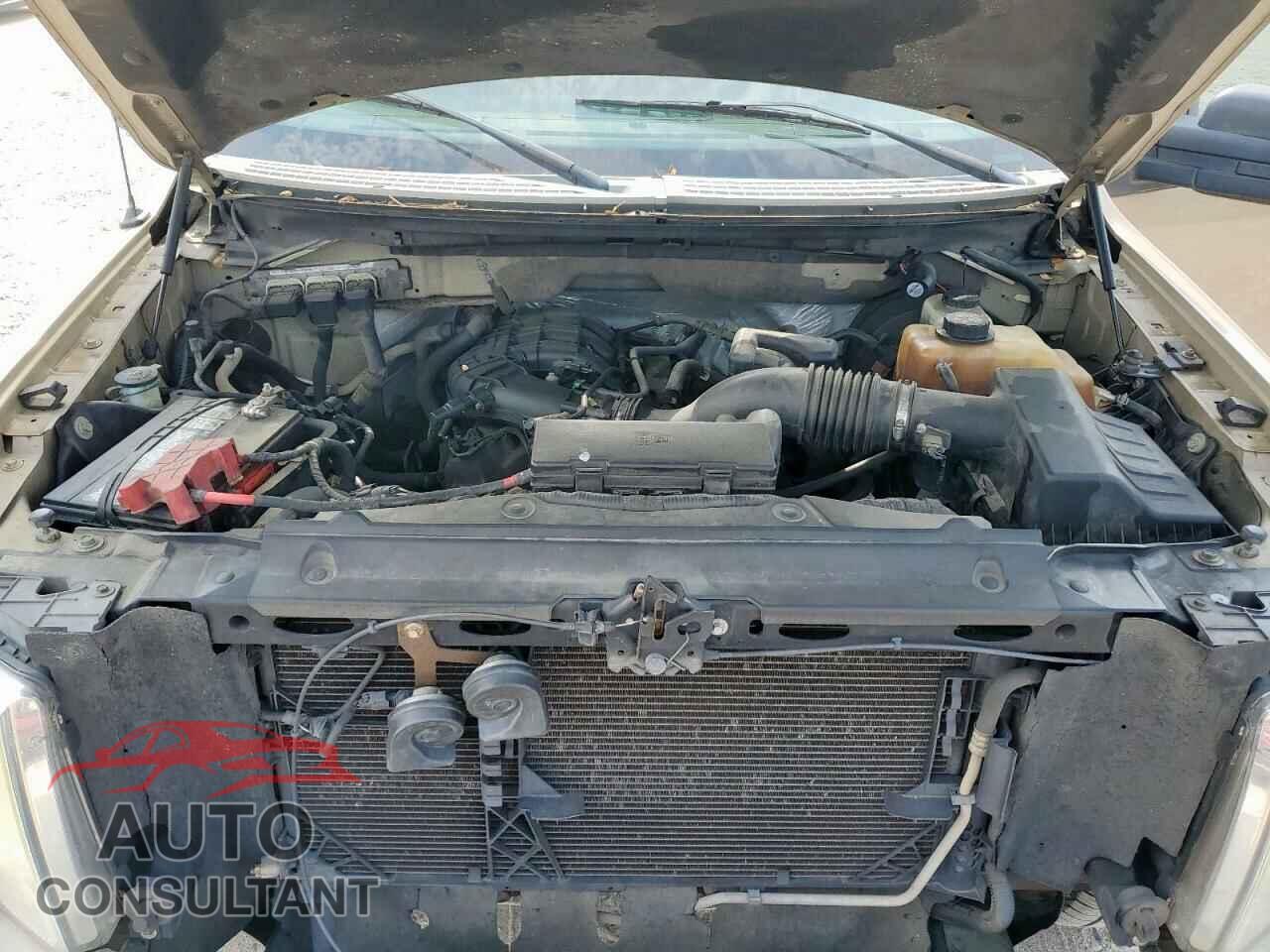 FORD F-150 2011 - 1FTEX1CM8BFB42599