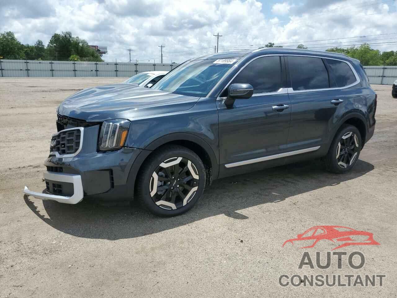 KIA TELLURIDE 2024 - 5XYP6DGC4RG520892