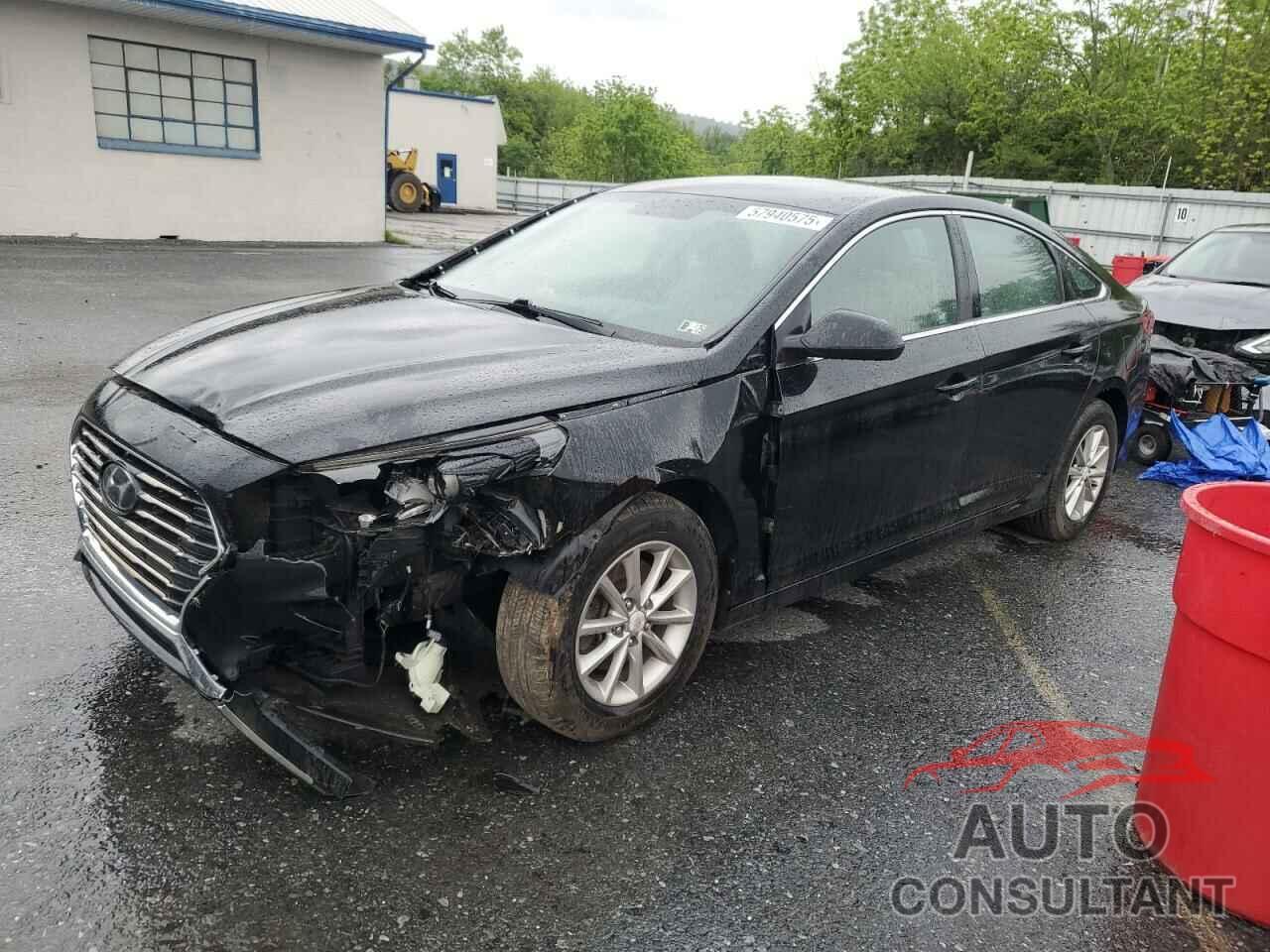 HYUNDAI SONATA 2019 - 5NPE24AF3KH786344