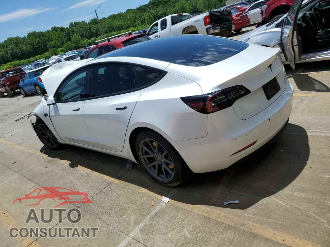 TESLA MODEL 3 2021 - 5YJ3E1EA4MF929654