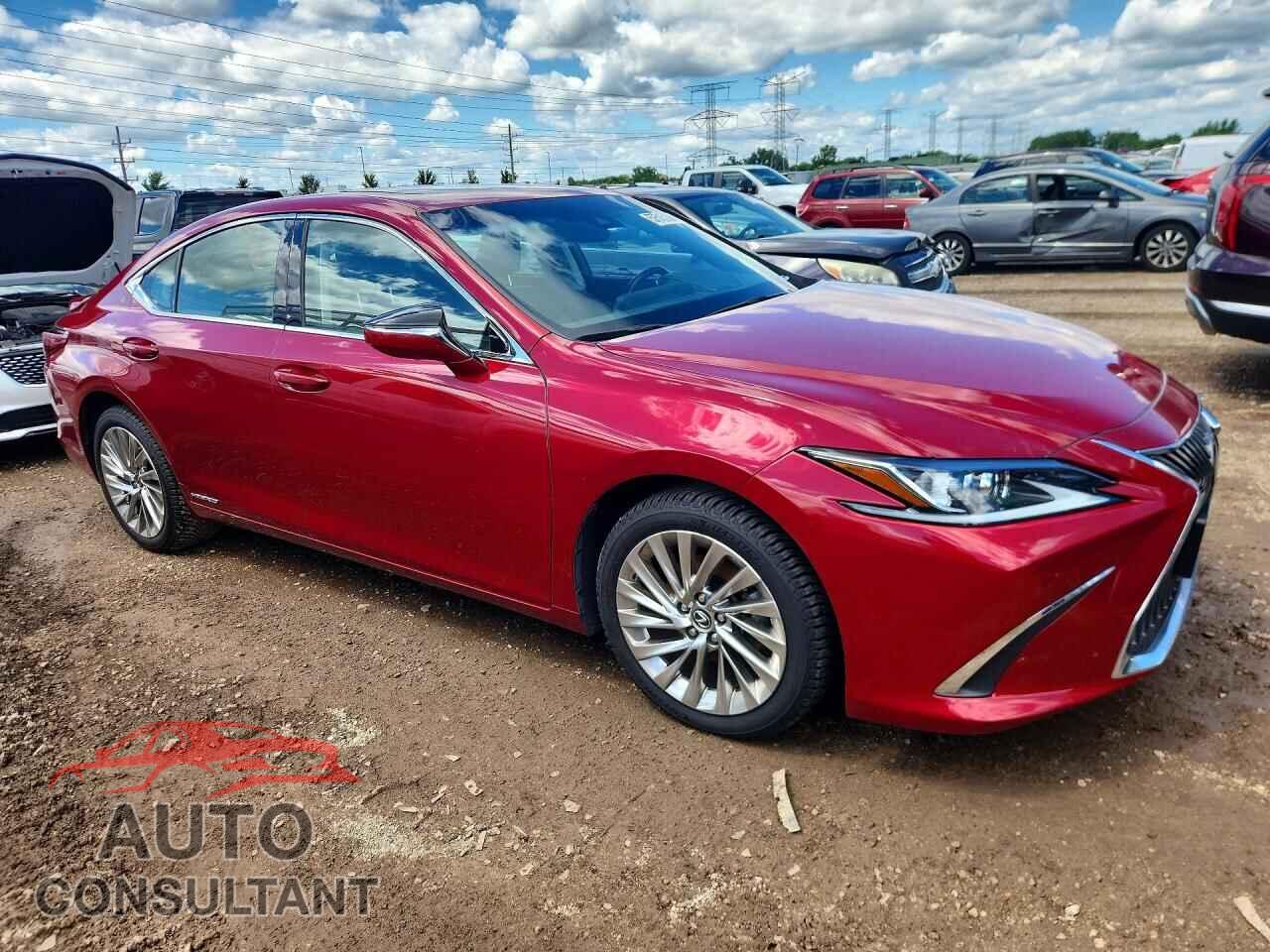 LEXUS ES300 2019 - JTHB21B19K2038119