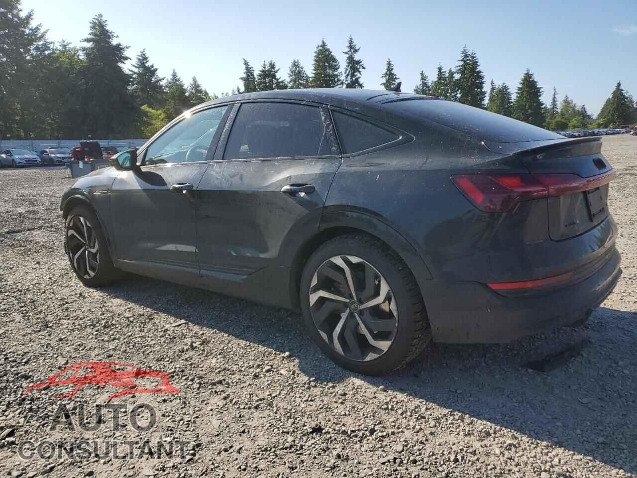 AUDI E-TRON 2023 - WA12AAGEXPB024800