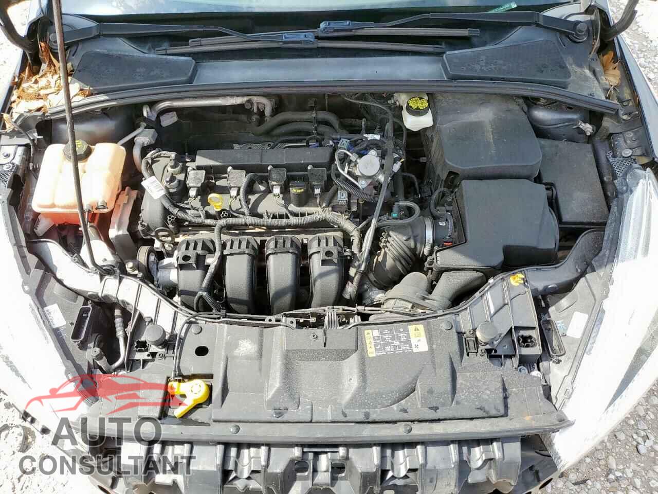 FORD FOCUS 2017 - 1FADP3F22HL303420