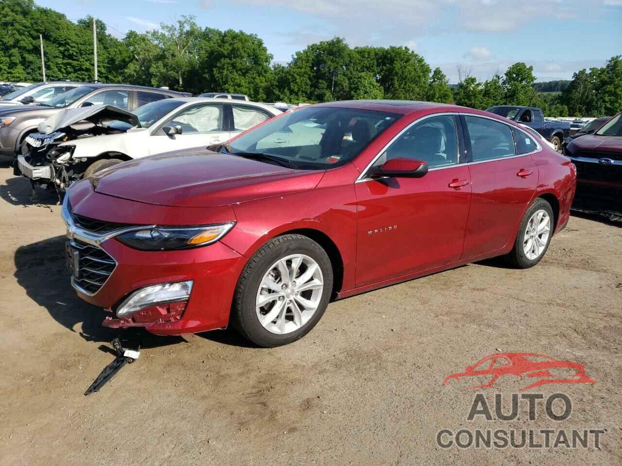 CHEVROLET MALIBU 2019 - 1G1ZD5ST3KF148703