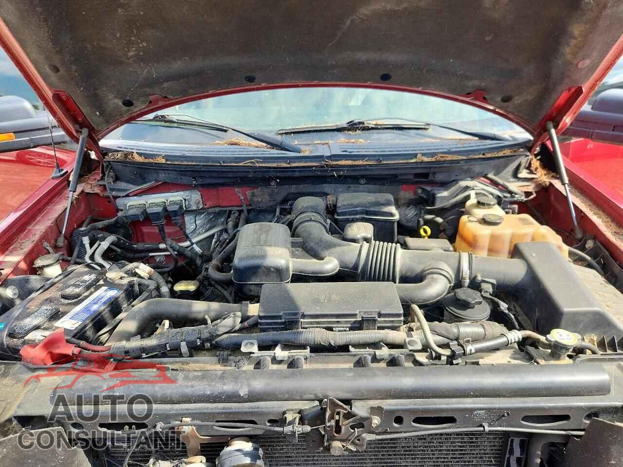 FORD F150 2010 - 1FTFW1EV1AFD08229