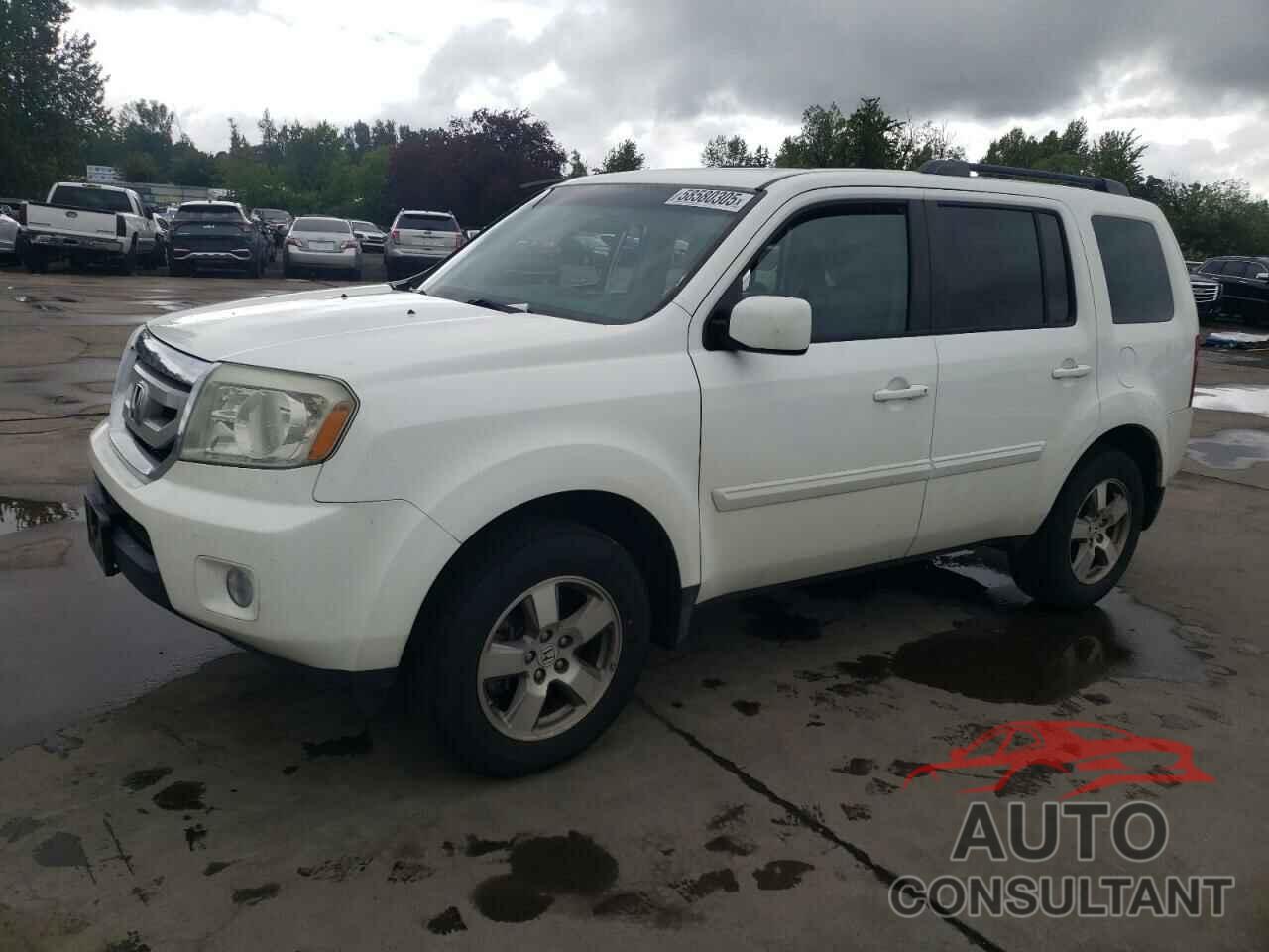 HONDA PILOT 2010 - 5FNYF3H44AB007742