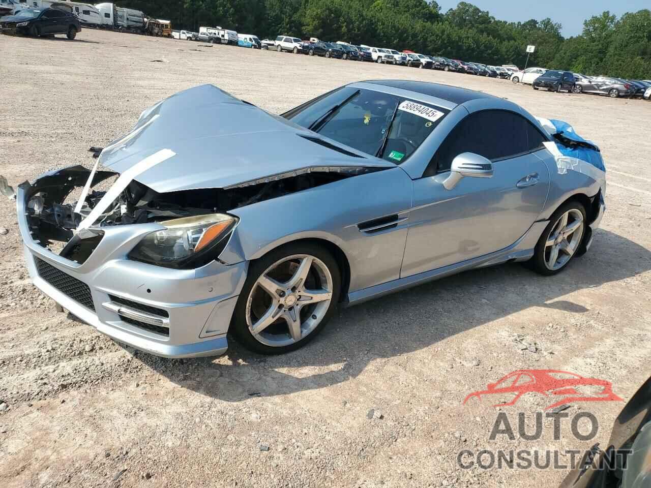 MERCEDES-BENZ SLK-CLASS 2014 - WDDPK4HA6EF077432