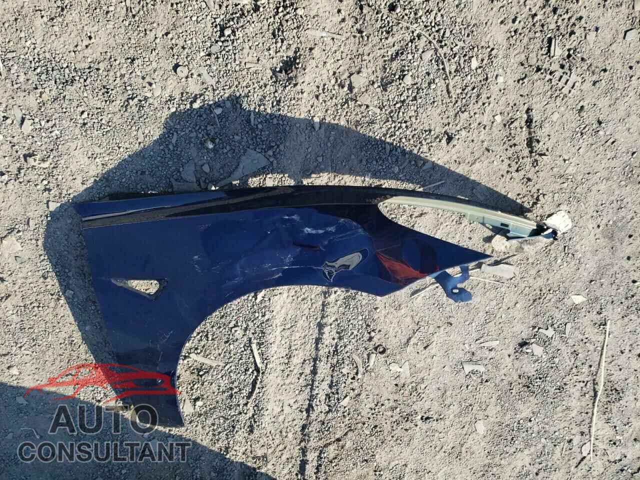 TESLA MODEL 3 2019 - 5YJ3E1EB1KF390979
