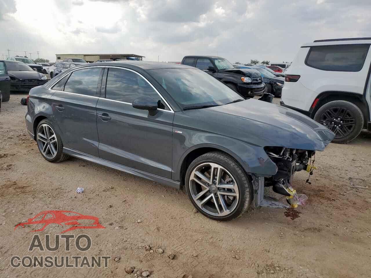 AUDI A3 2019 - WAUJEGFF0K1020141