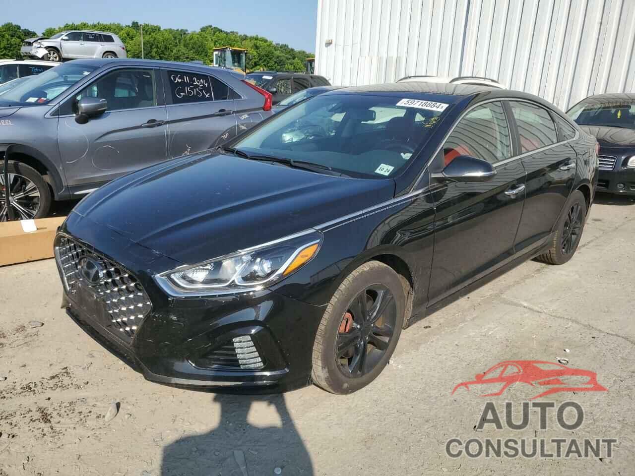 HYUNDAI SONATA 2019 - 5NPE34AF7KH770001