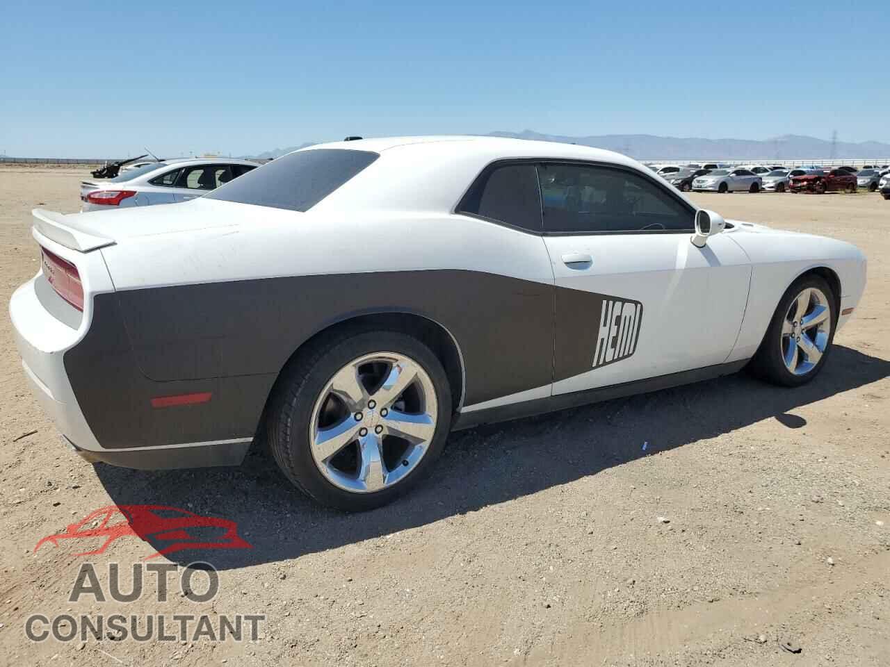 DODGE CHALLENGER 2014 - 2C3CDYBT2EH101815