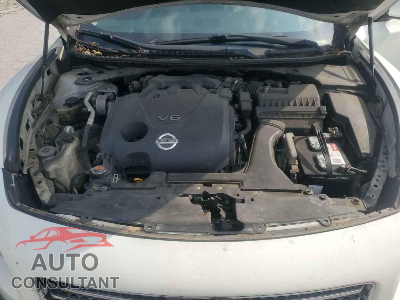 NISSAN MAXIMA 2011 - 1N4AA5AP6BC806085