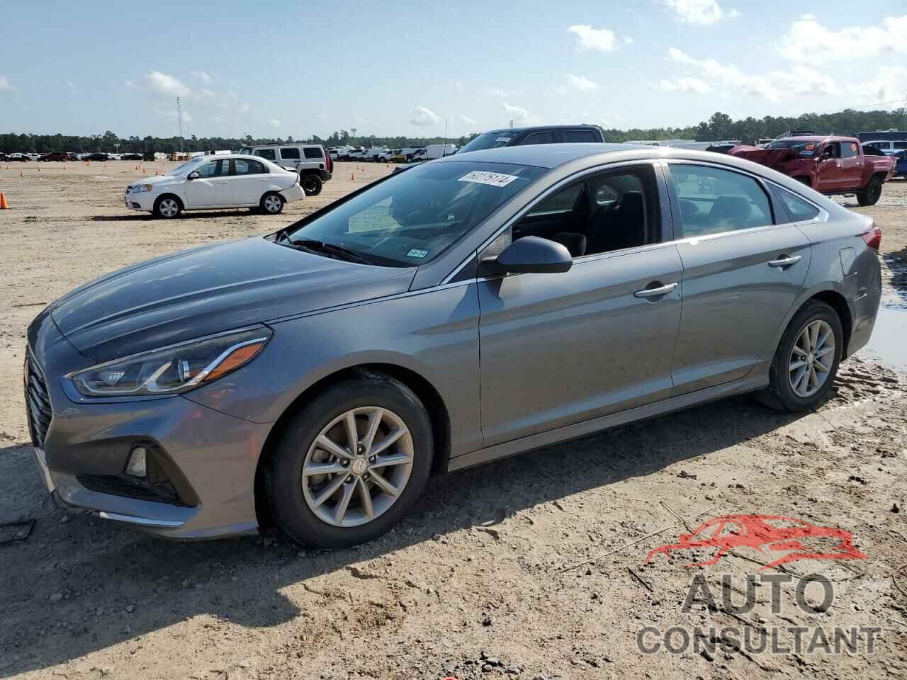 HYUNDAI SONATA 2019 - 5NPE24AF8KH776635