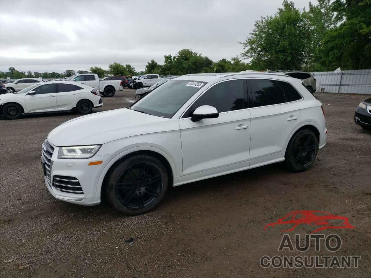 AUDI SQ5 2019 - WA1A4AFY9K2004352