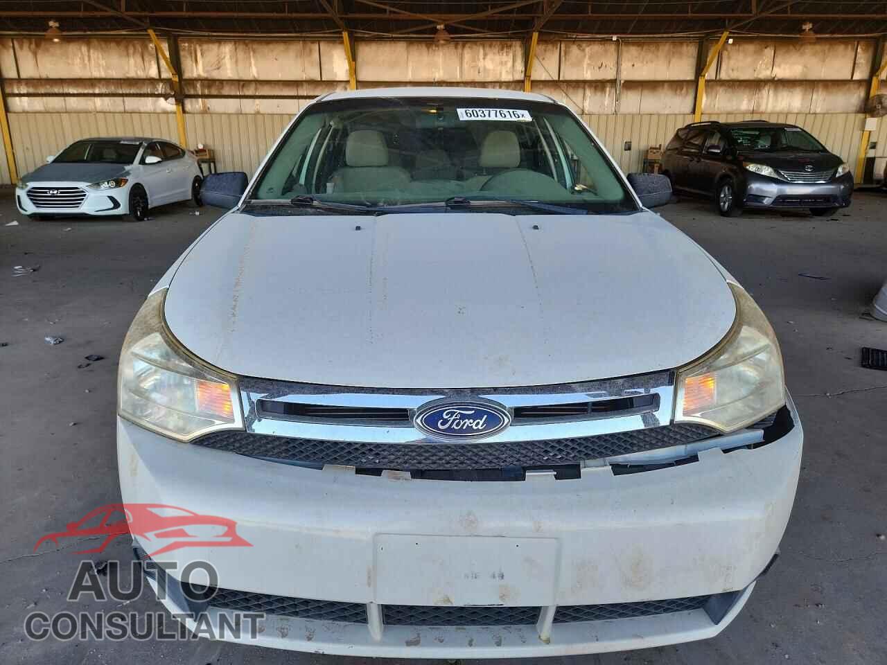 FORD FOCUS 2011 - 1FAHP3EN5BW181137