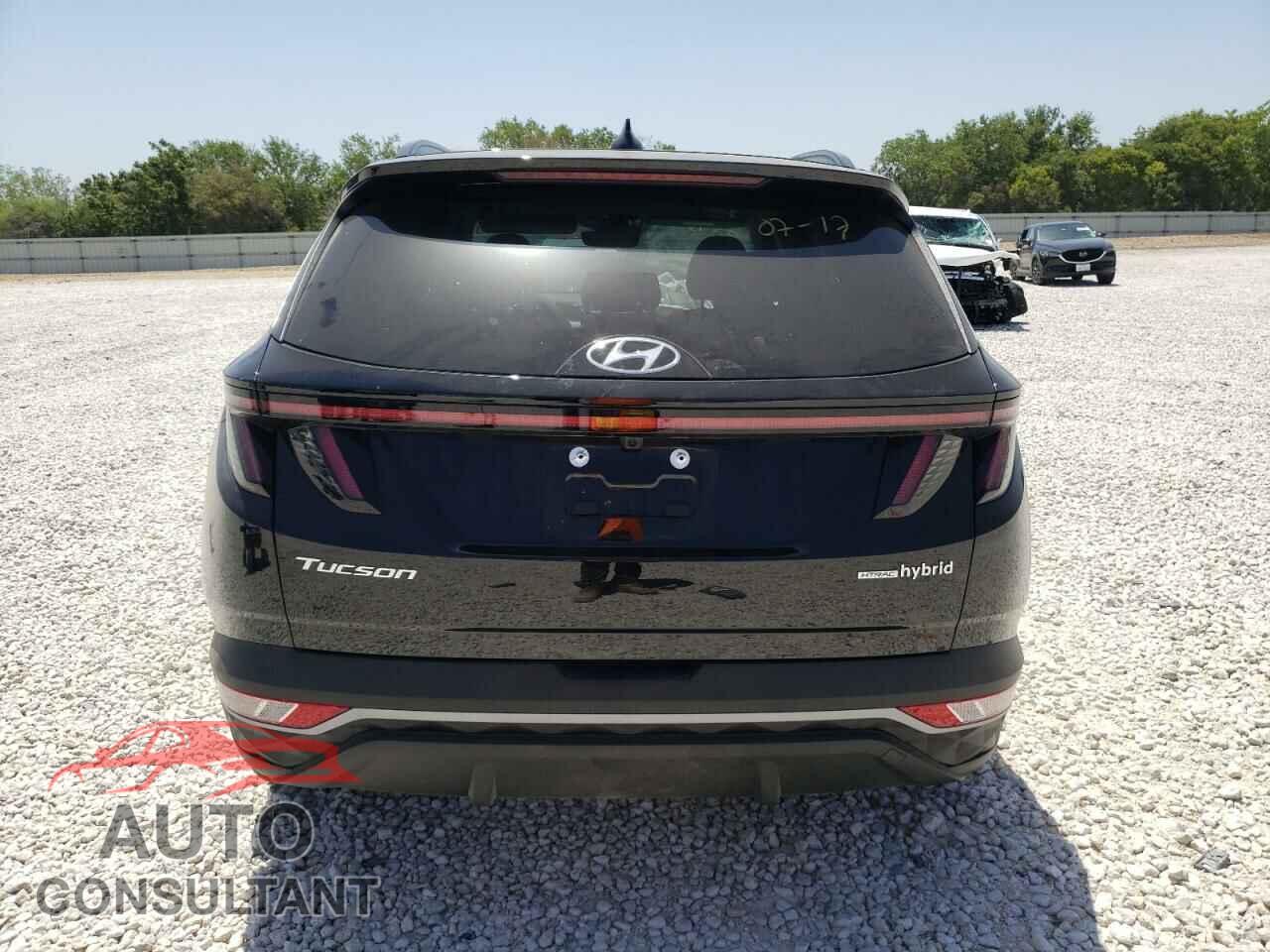 HYUNDAI TUCSON 2023 - KM8JFCA19PU100012