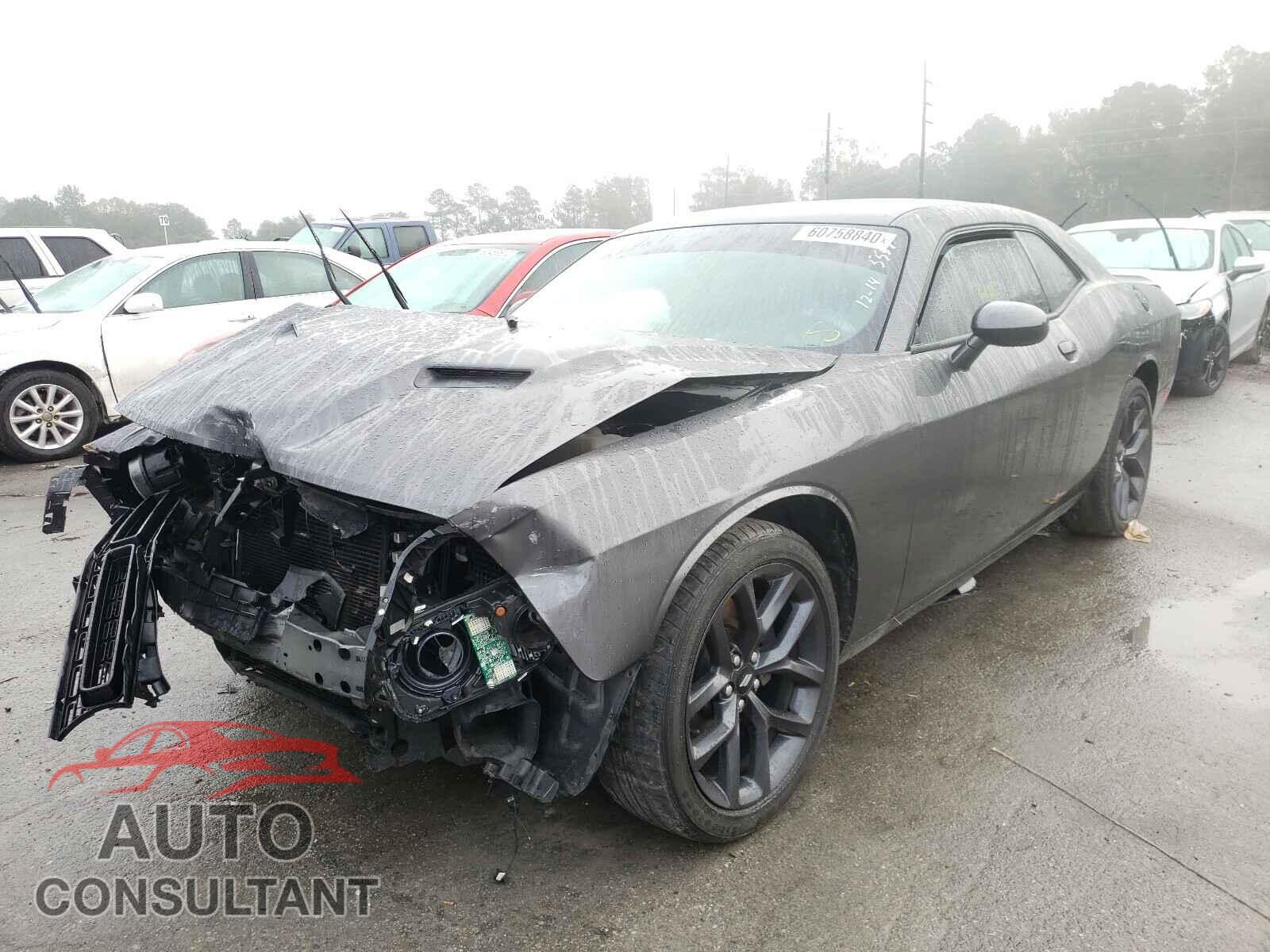 DODGE CHALLENGER 2019 - 2C3CDZAG3KH545551