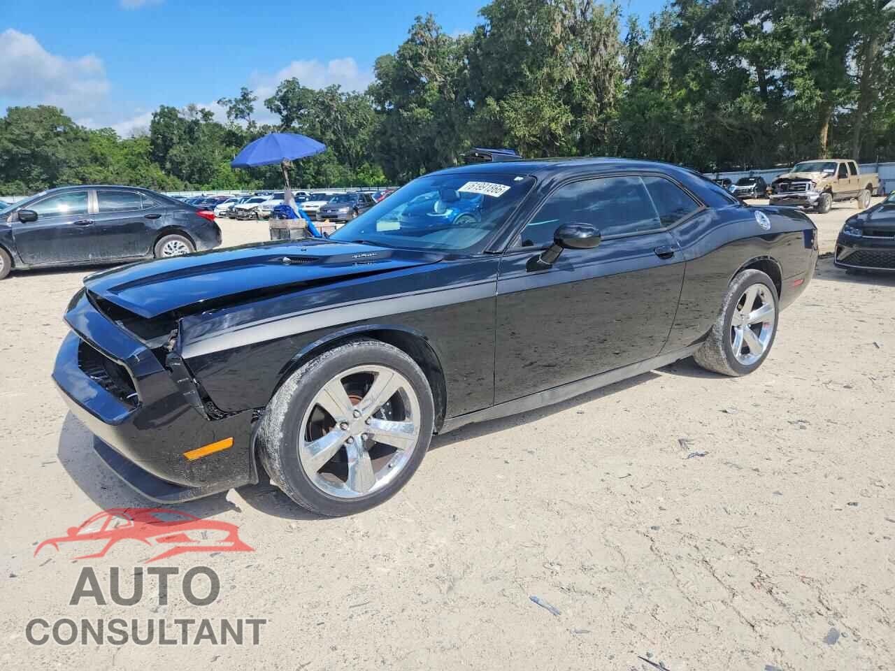 DODGE CHALLENGER 2014 - 2C3CDYBT9EH196390