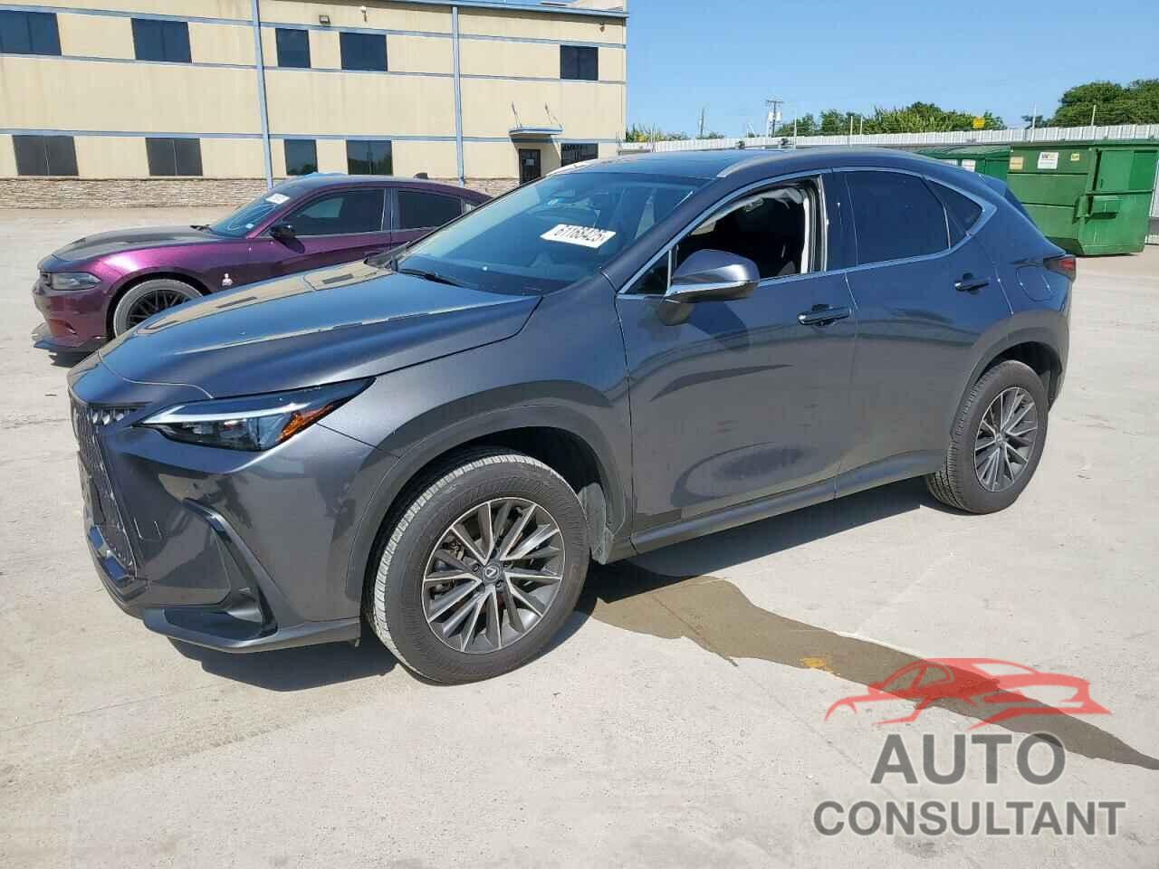 LEXUS NX 250 PRE 2025 - 2T2GDCAZ1SC018092