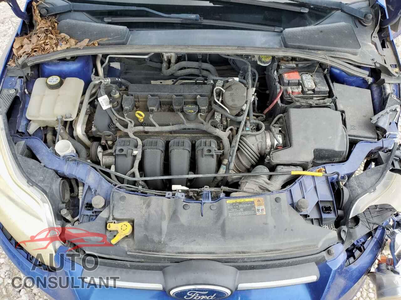 FORD FOCUS 2012 - 1FAHP3E25CL249896