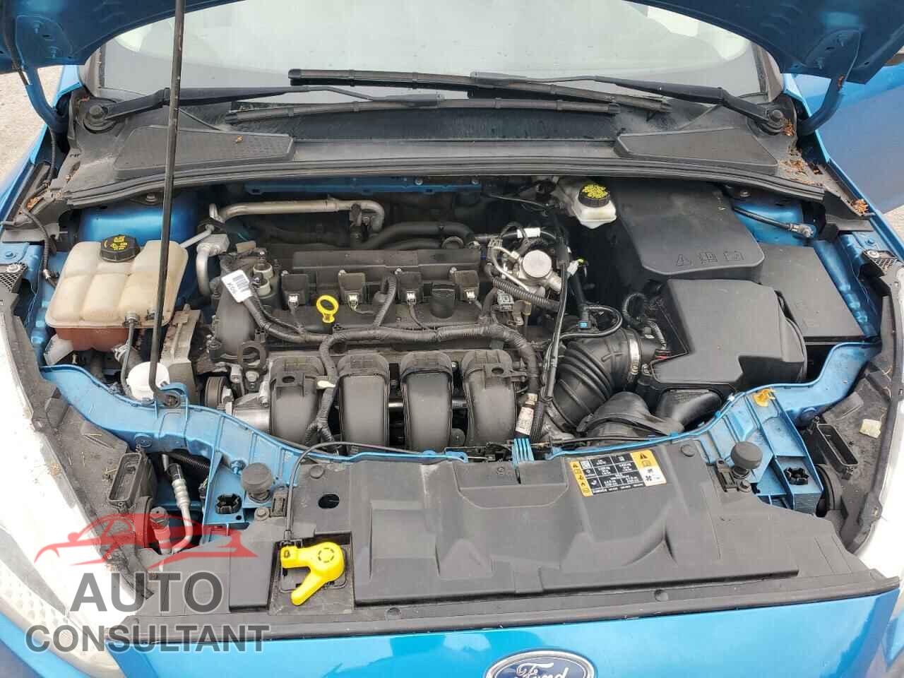 FORD FOCUS 2017 - 1FADP3F20HL211528
