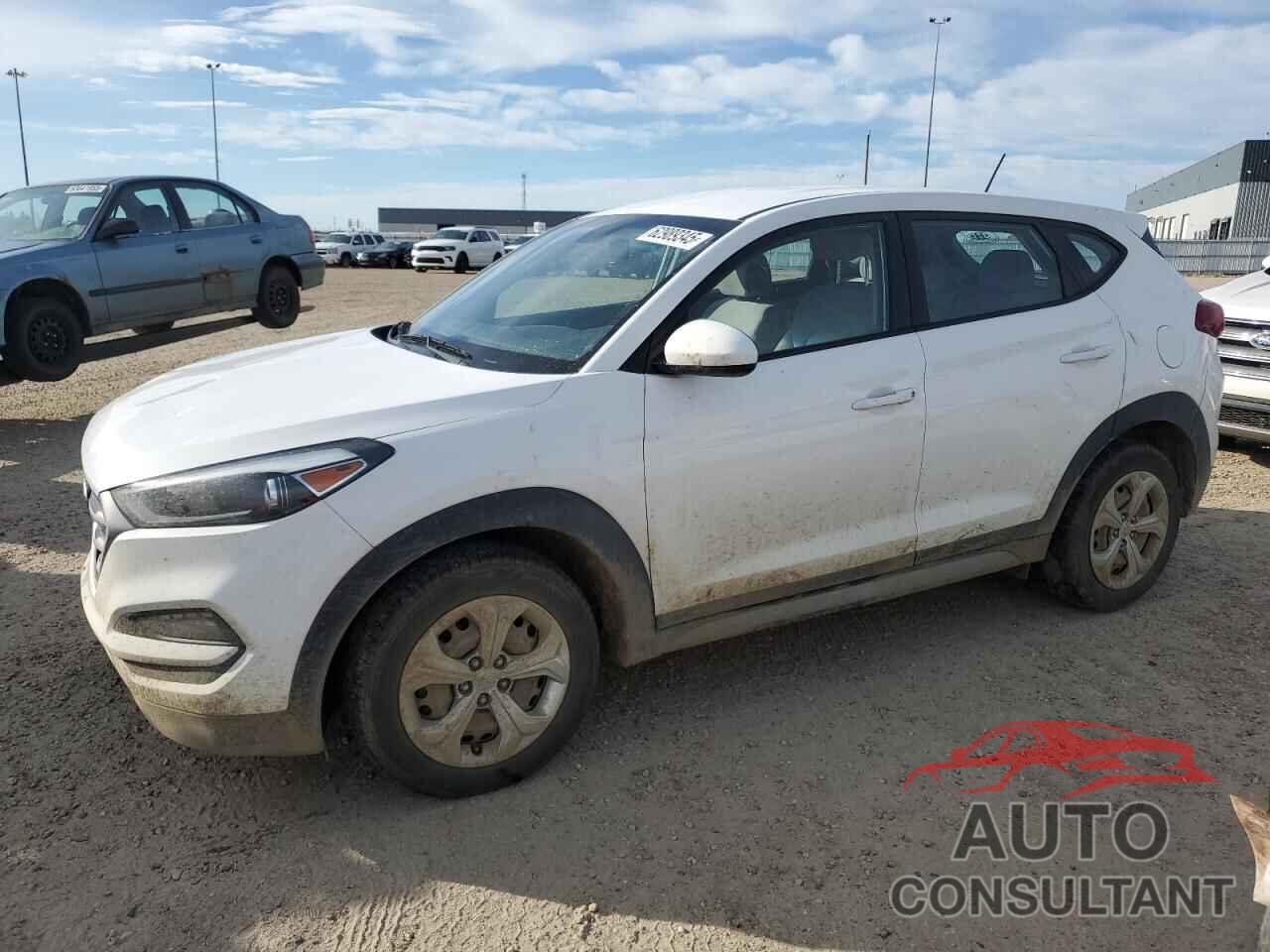 HYUNDAI TUCSON 2017 - KM8J23A43HU307244