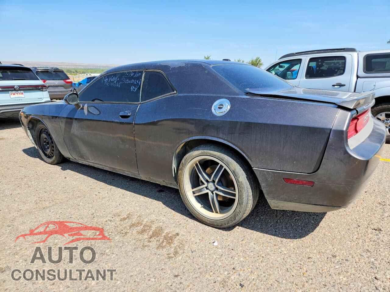 DODGE CHALLENGER 2013 - 2C3CDYBT6DH587186