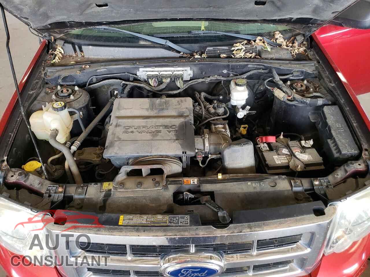 FORD ESCAPE 2012 - 1FMCU9DG4CKA50112