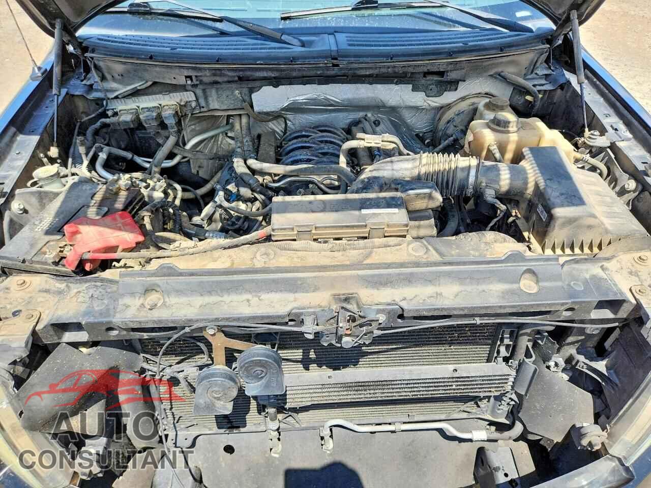 FORD F150 2013 - 1FTFX1CF8DFC54103