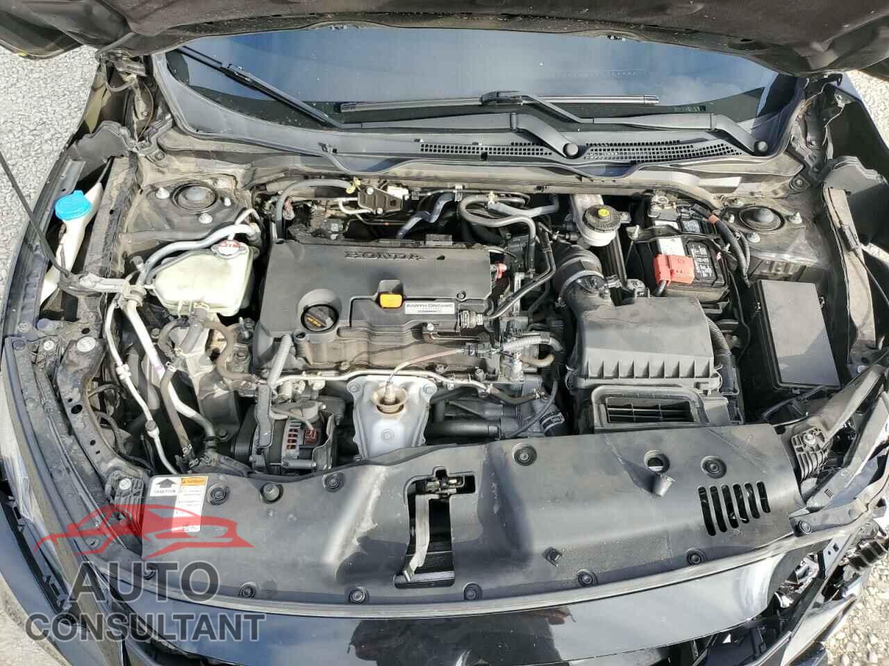 HONDA CIVIC 2019 - 2HGFC4B67KH307997
