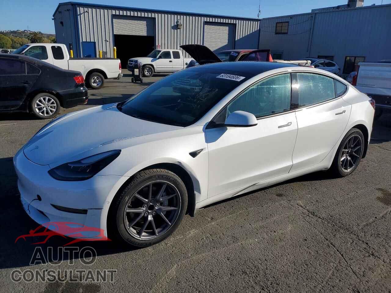 TESLA MODEL 3 2021 - 5YJ3E1EA2MF051643