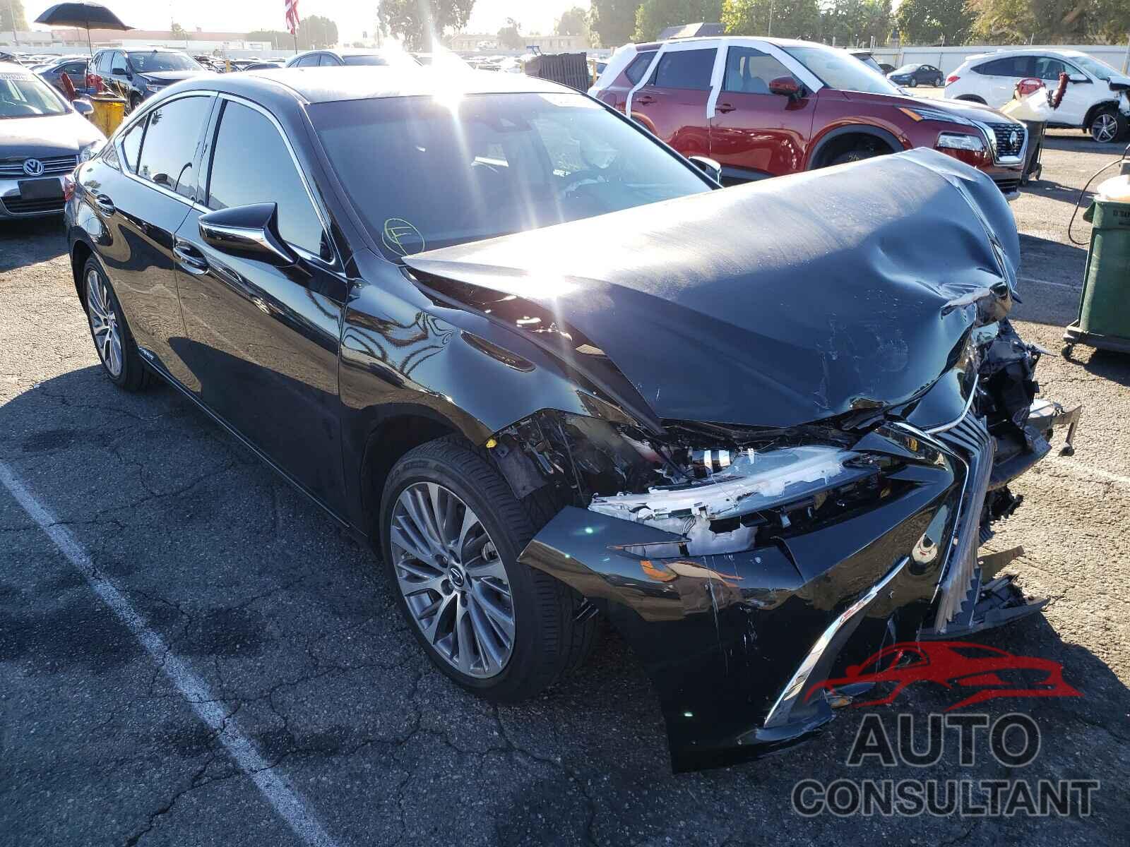 LEXUS ES300 2021 - 58ADA1C13MU010274