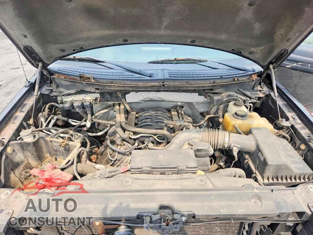 FORD F150 2013 - 1FTFX1EF0DFC75301