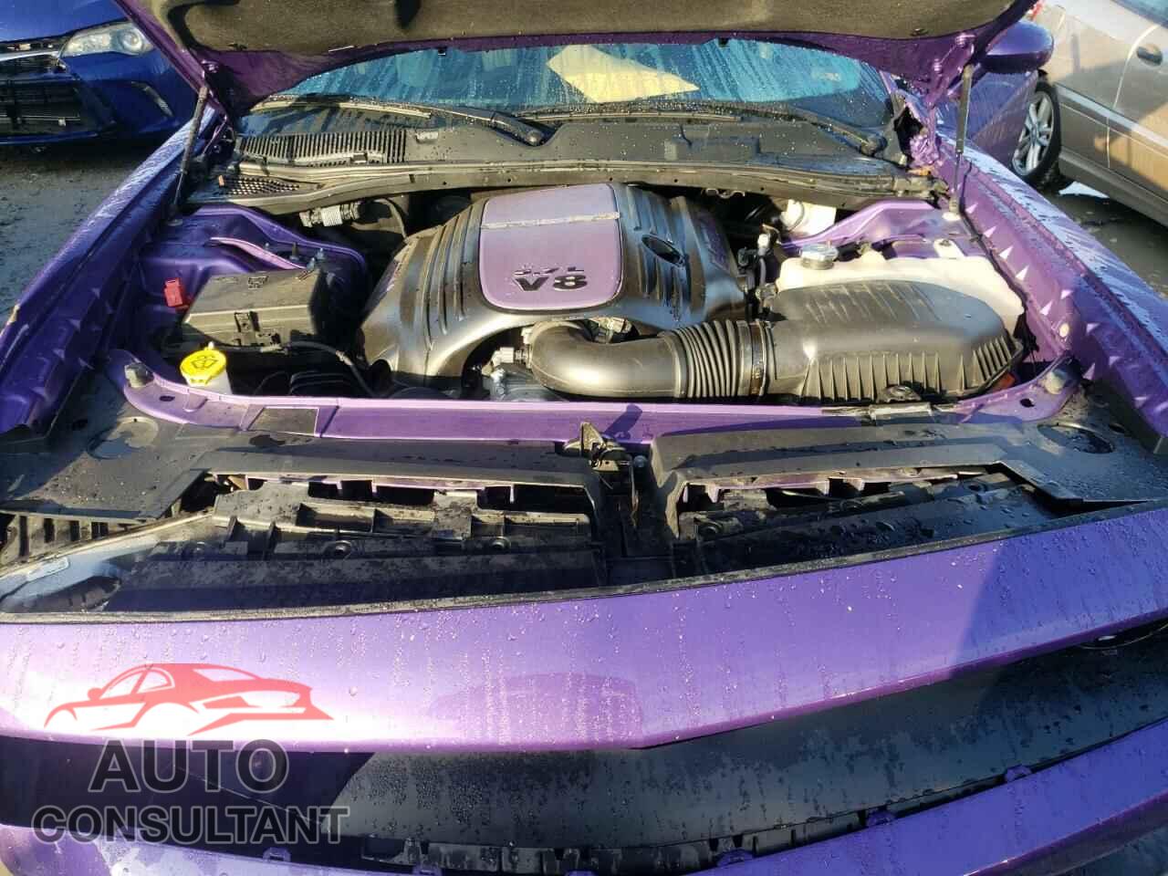 DODGE CHALLENGER 2019 - 2C3CDZBT0KH640743