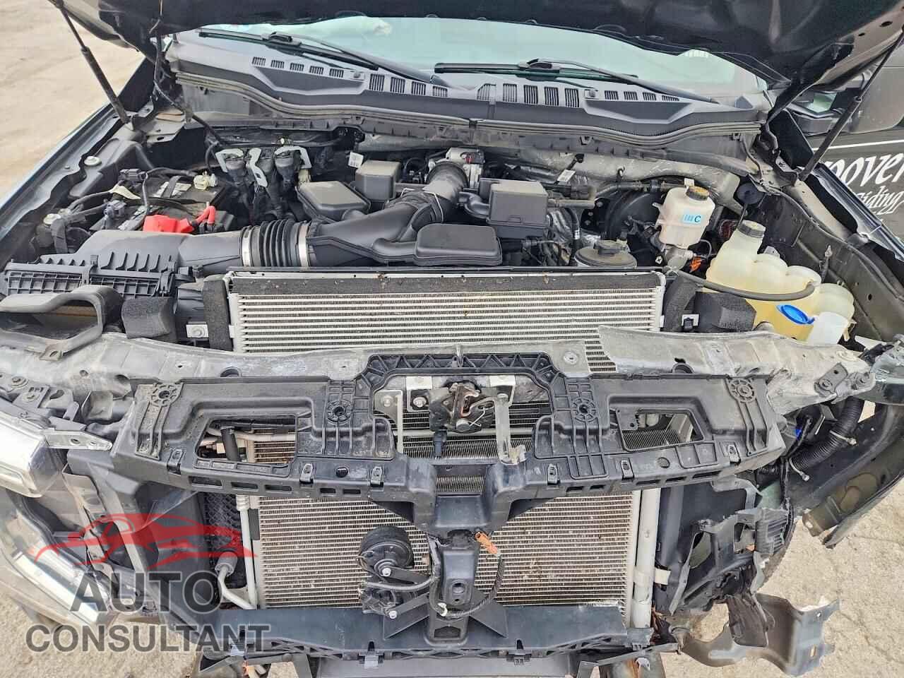 FORD F250 2021 - 1FT7W2A67MEC32485