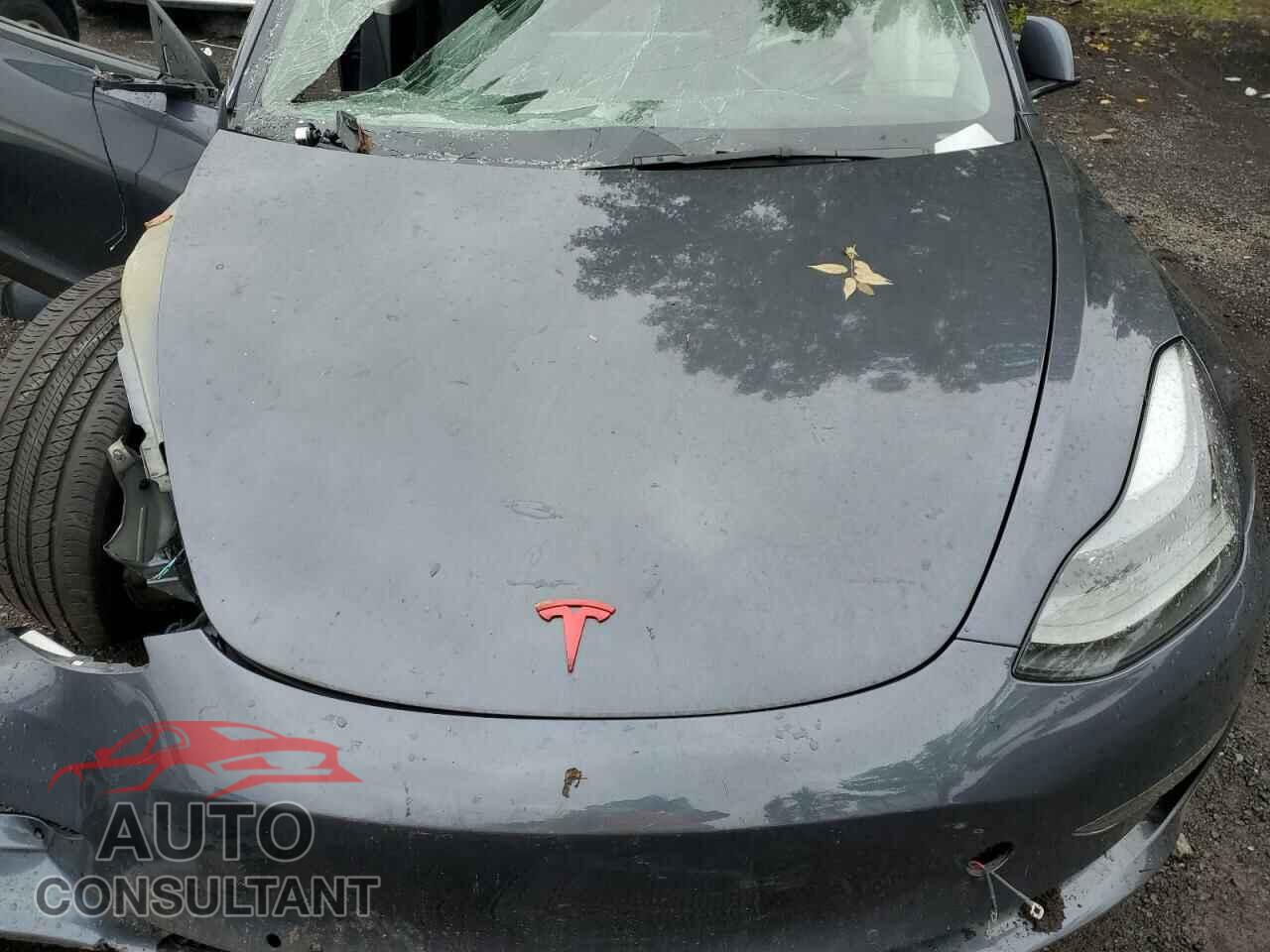 TESLA MODEL 3 2022 - 5YJ3E1EA2NF303148