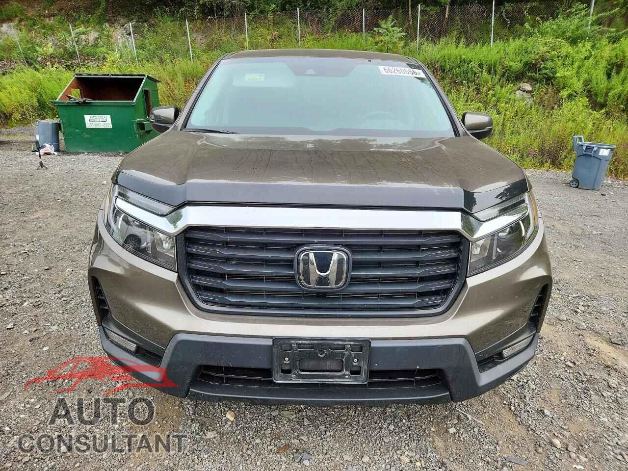 HONDA RIDGELINE 2023 - 5FPYK3F59PB009719