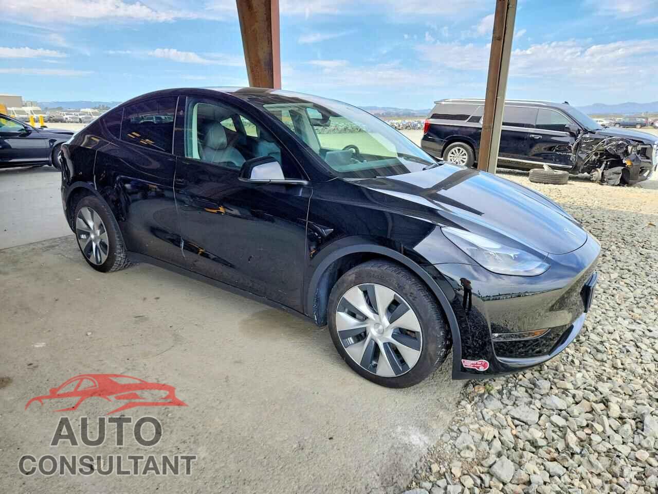 TESLA MODEL Y 2024 - 7SAYGDEE5RF983494