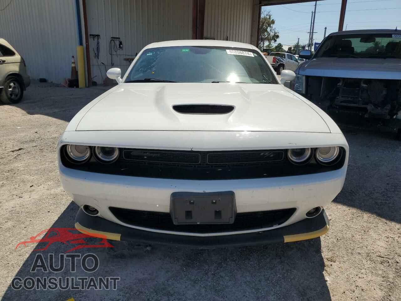 DODGE CHALLENGER 2019 - 2C3CDZBT0KH532168