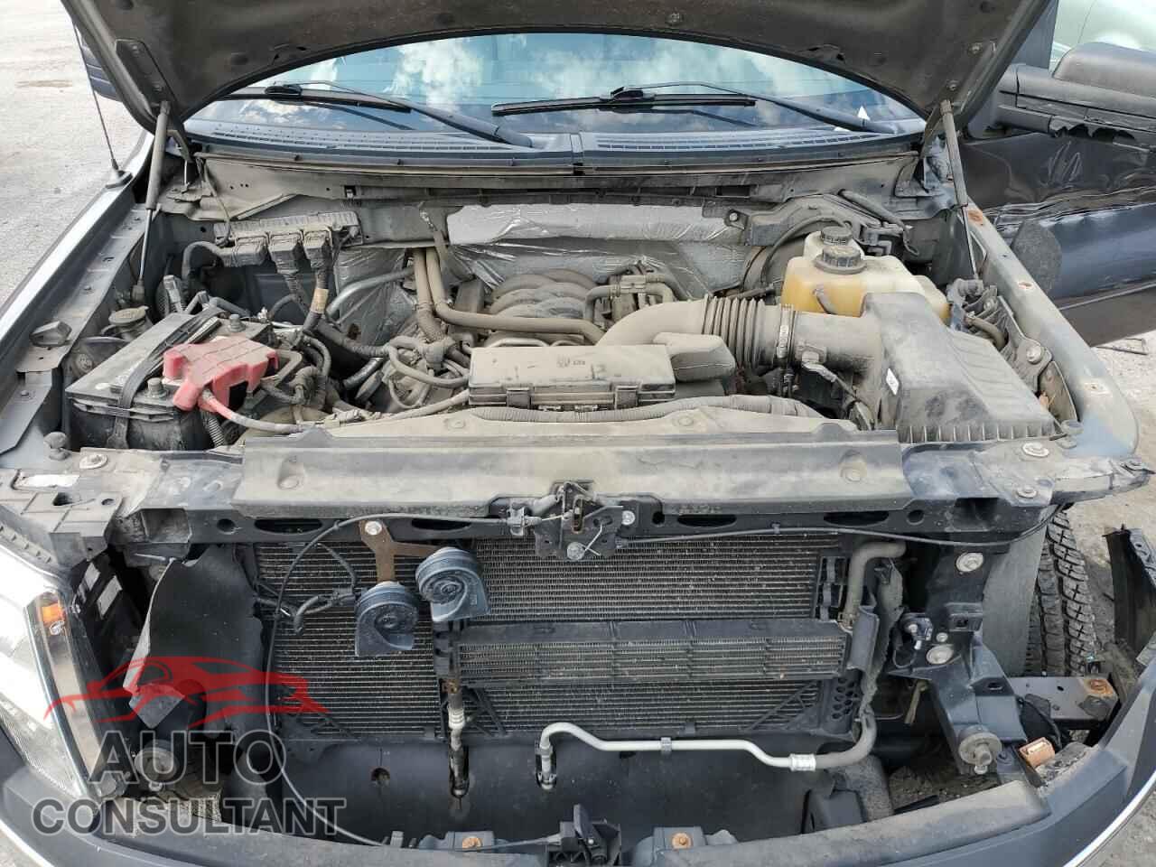 FORD F-150 2013 - 1FTFW1EF1DFD66029