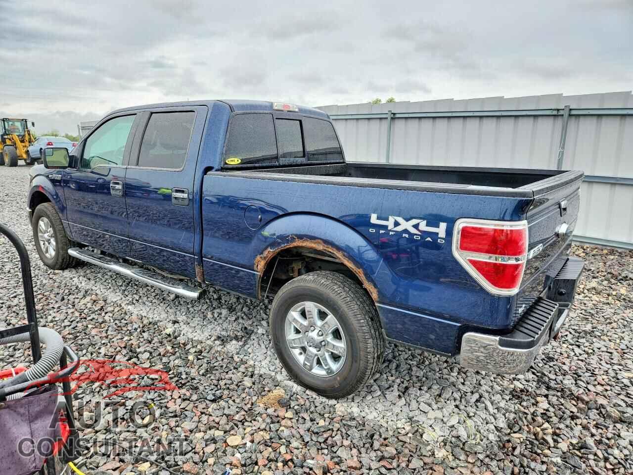 FORD F150 2013 - 1FTFW1EF2DKD22693
