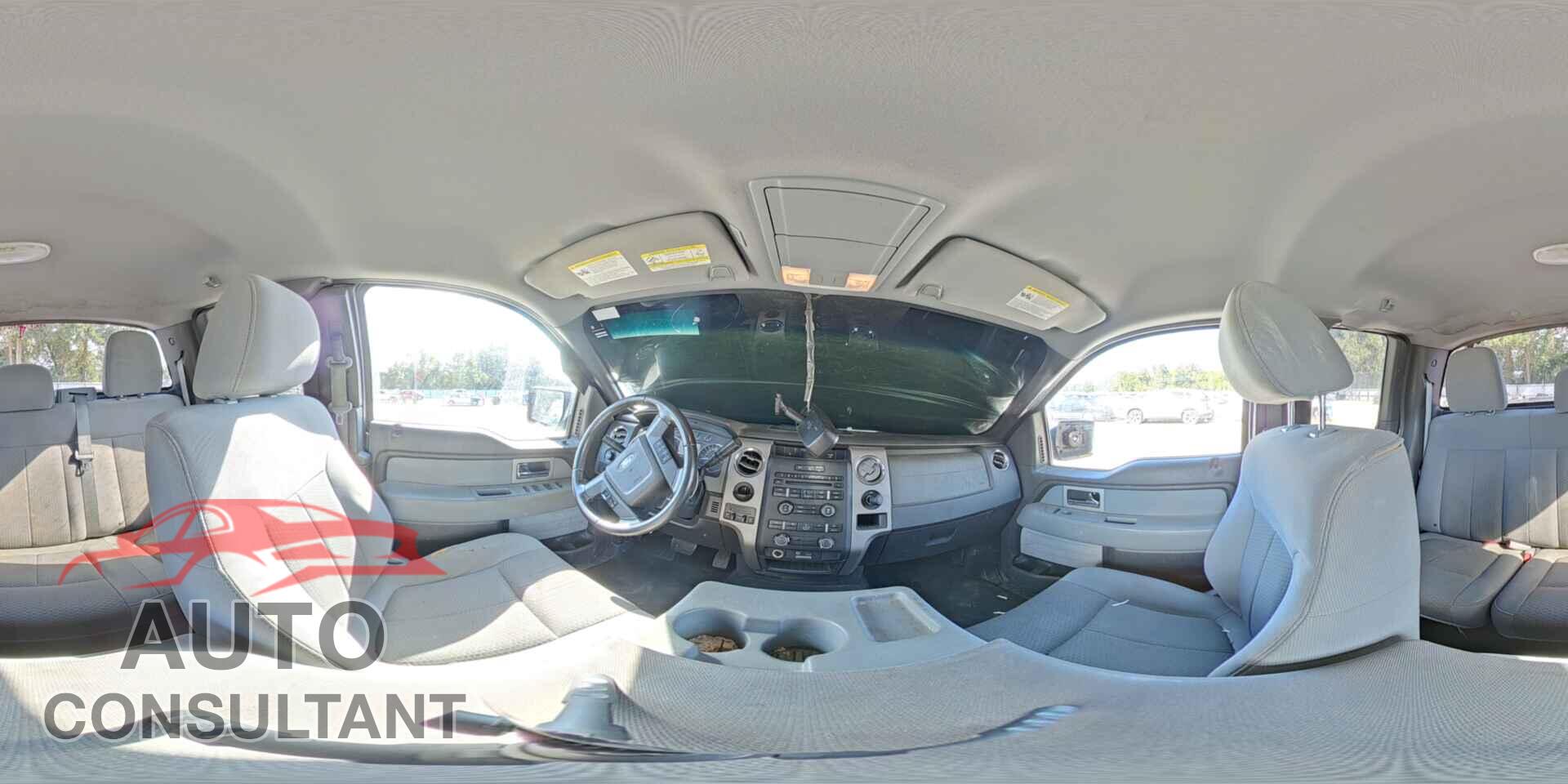 FORD F150 2011 - 1FTFX1CF9BFA31615